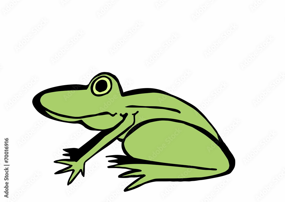Fototapeta premium doodle frog