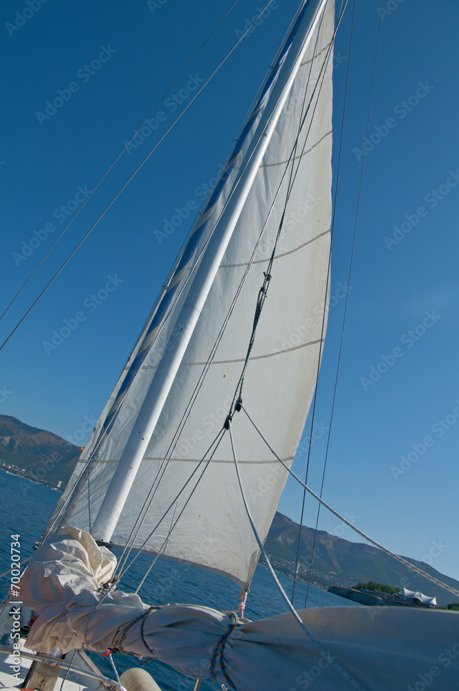 Obraz premium Sailing boat