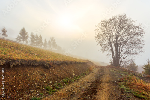 Foggy morning in Transylvania
