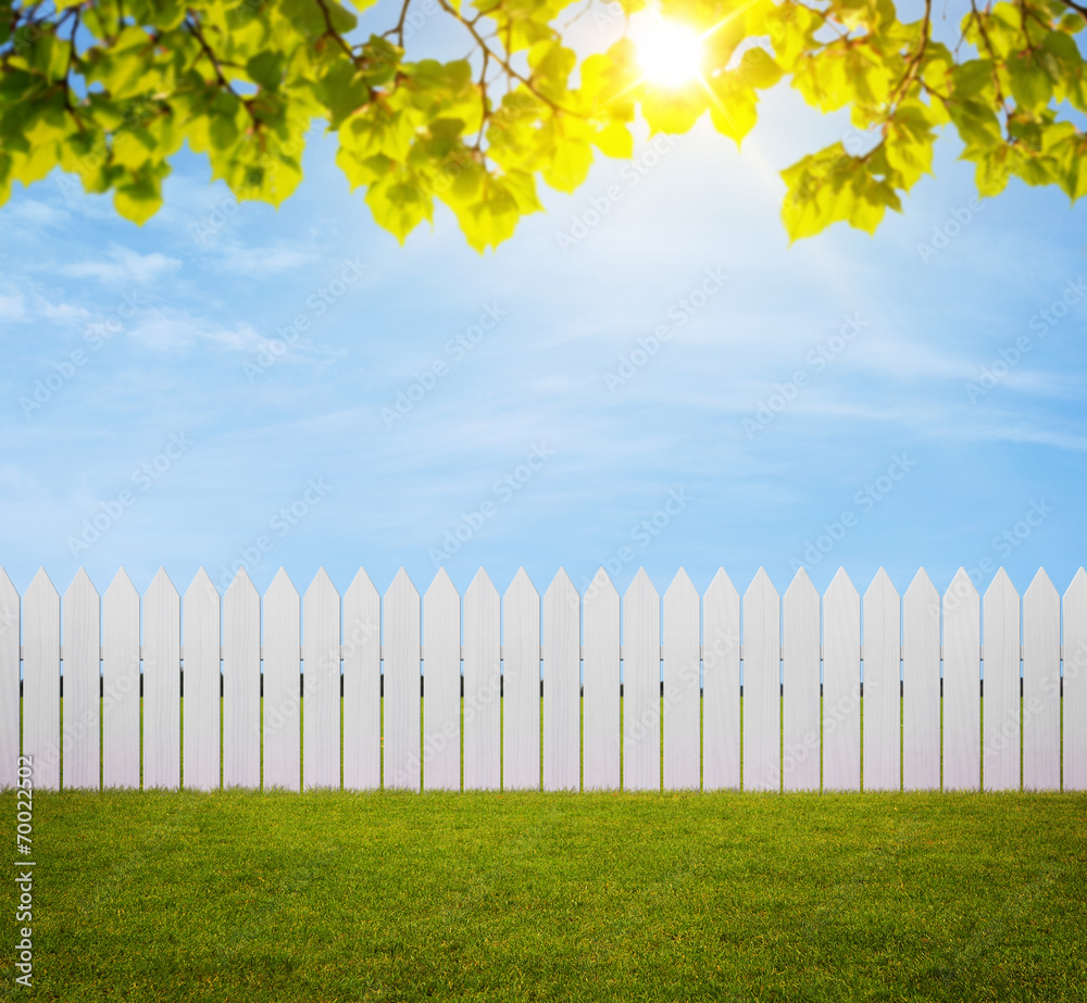 Obraz premium White wooden fence in the back yard with copy space
