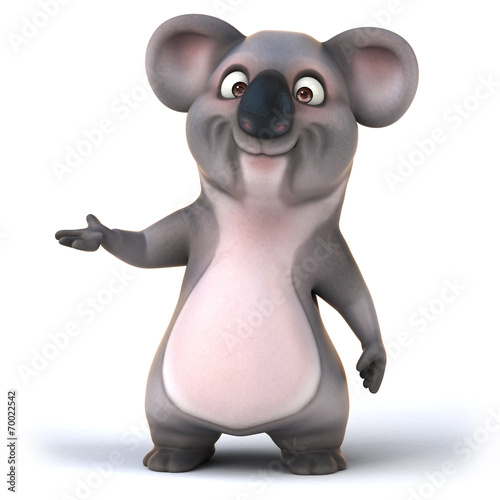 Photography Fun koala