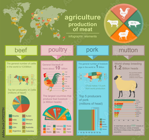 Agriculture, animal husbandry infographics, Vector illustrations