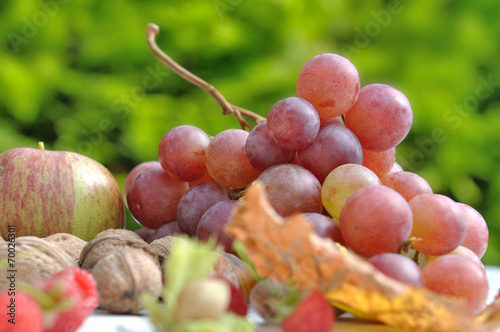 grappe de raison et autres fruits de saison