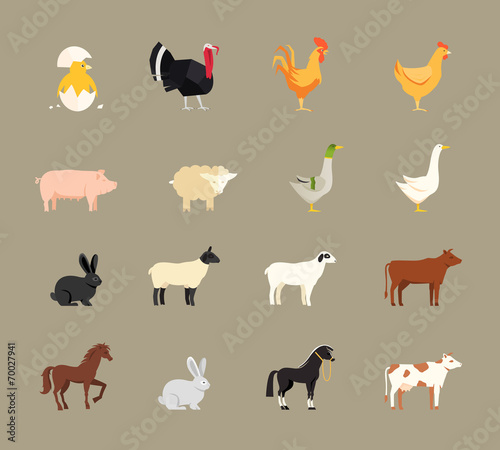 Farm animals set in flat style