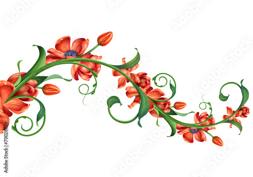 Fototapeta Naklejka Na Ścianę i Meble -  branch with red flowers illustration isolated on white