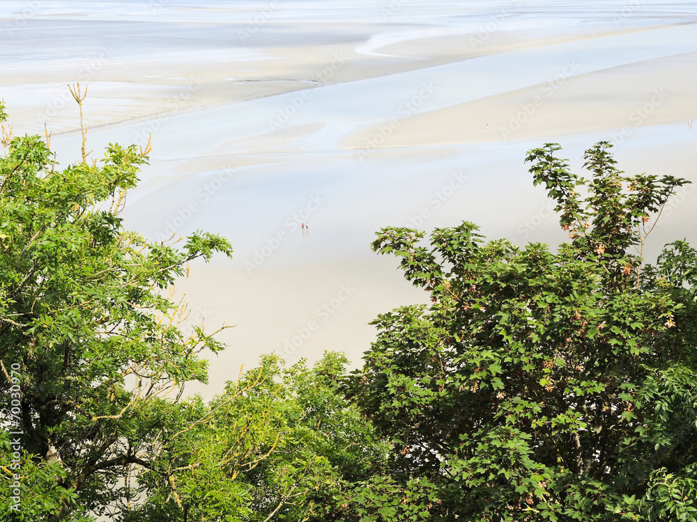Obraz premium tidal bay at low tide near mont saint-michel abbey