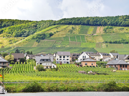 Ellenz Poltersdorf village and vineyard on Moselle photo