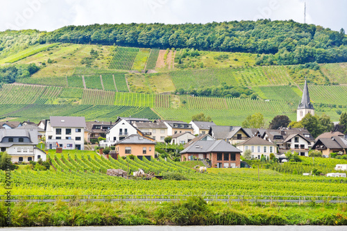 vineyards on hills and Ellenz Poltersdorf village photo