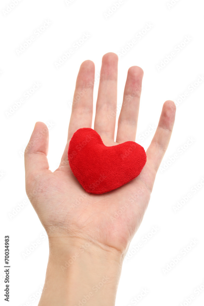 Purple heart in hand Purple heart in hand