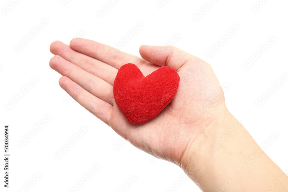 Red heart in the hand Red heart in the hand