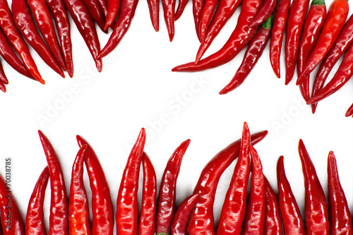 Red hot Chilli pepper on white background, with space