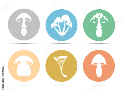 set mushroom icon