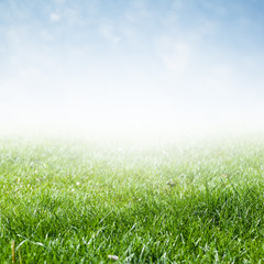 green grass