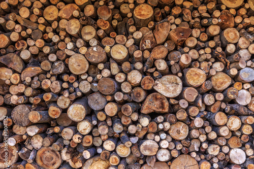 Stack of dried firewood