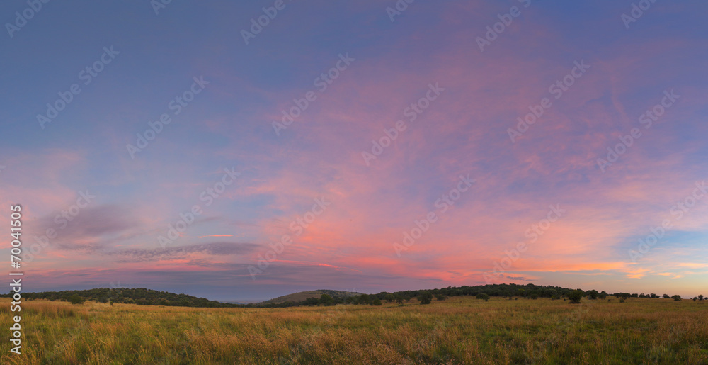 Fototapeta premium Pink Free State Sky