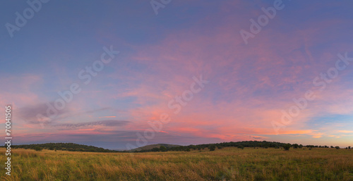 Pink Free State Sky