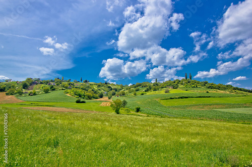 Idyllic africultural green landscape of Croatia
