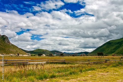 Seasonal lake covered with green grass and yellow hay with hills photo