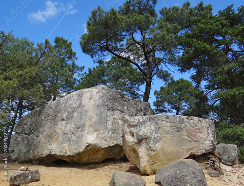 Forêt de Fontainebleau (site du rocher Fin)