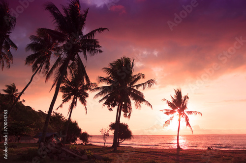 Sunset at the seaside - dark silhouettes of palp trees and amazi