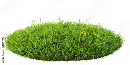 Grass