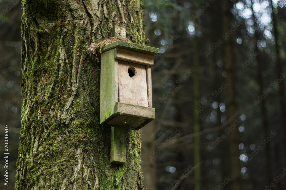Vogelhaus im Wald