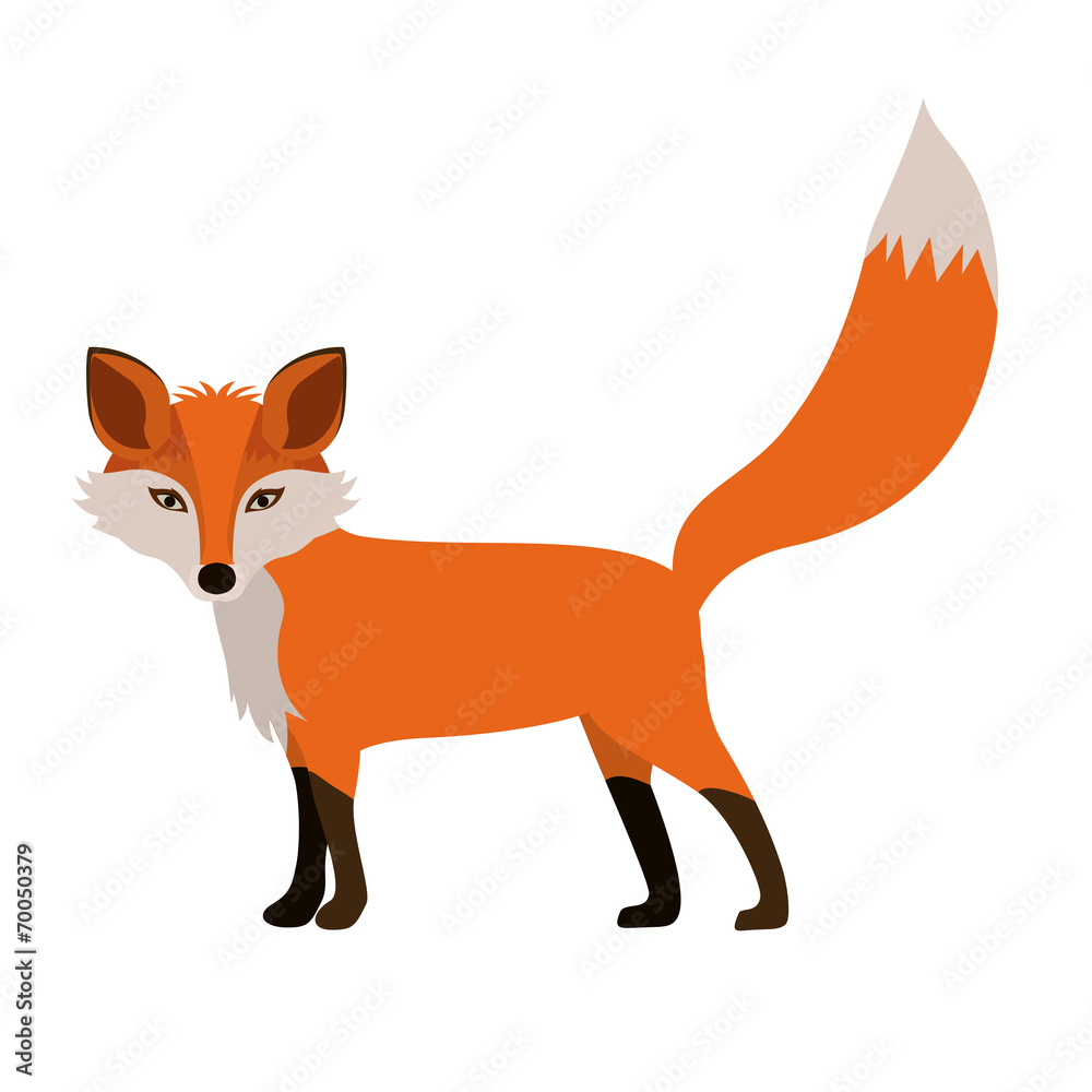 Animal design Animal design