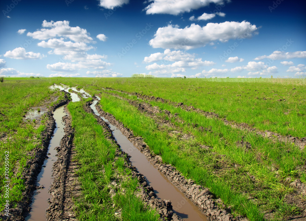 Soil is wet track tires. Natural backdrop