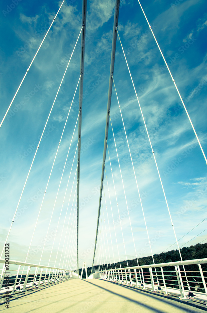 Obraz premium bridge
