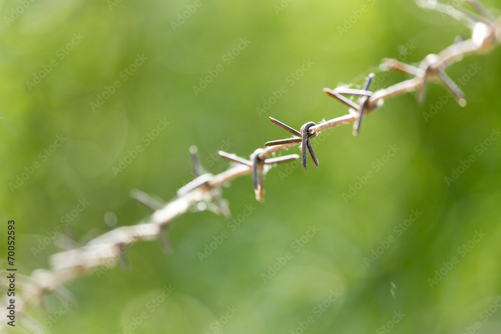 barbed wire fence barbed wire fence