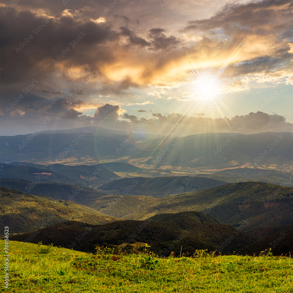 Obraz premium wild plants at the mountain top at sunset