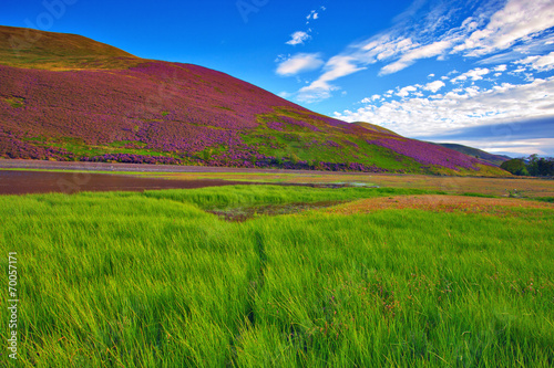 Colorful landscape scenery of Pentland hills slope covered by vi