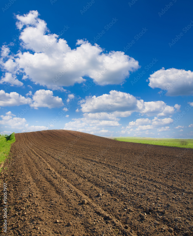 plowed field and blue sky