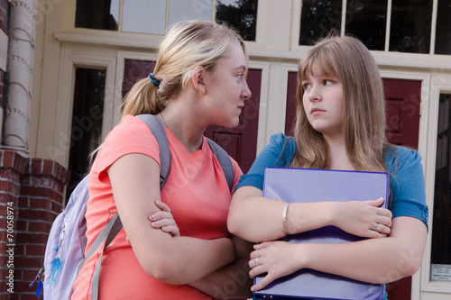 Obraz na plátně Teen Girl Bully