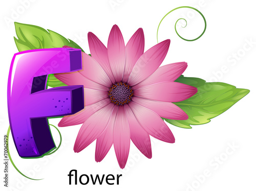 A letter F for flower photo