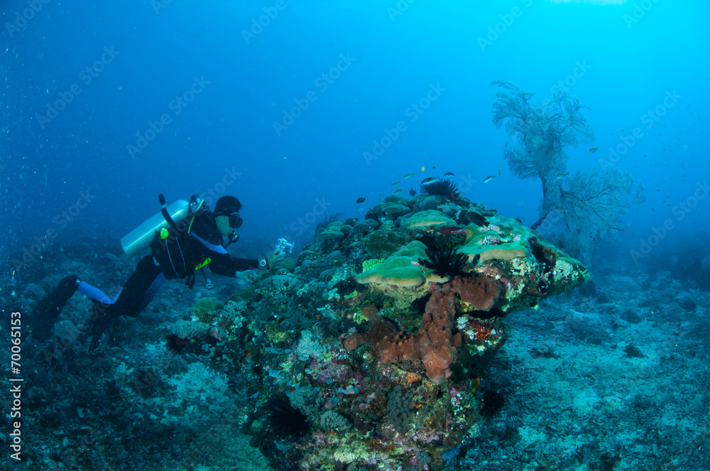 Diver, coral reefs, Gili, Lombok, Nusa Tenggara Barat underwater