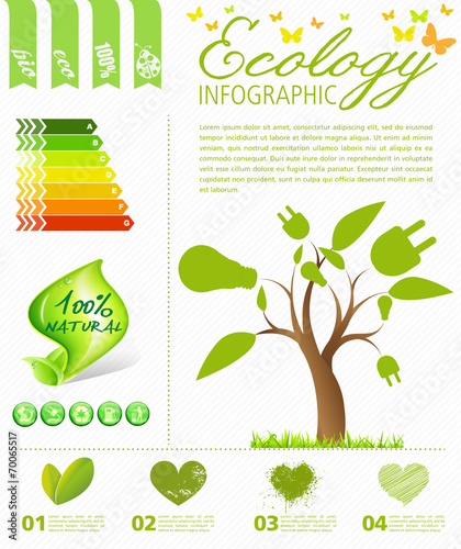 Ecology Infographic