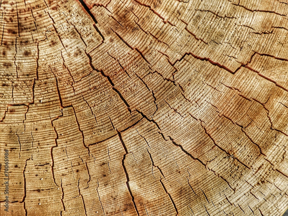 Fototapeta premium rissiger Holzhintergrund