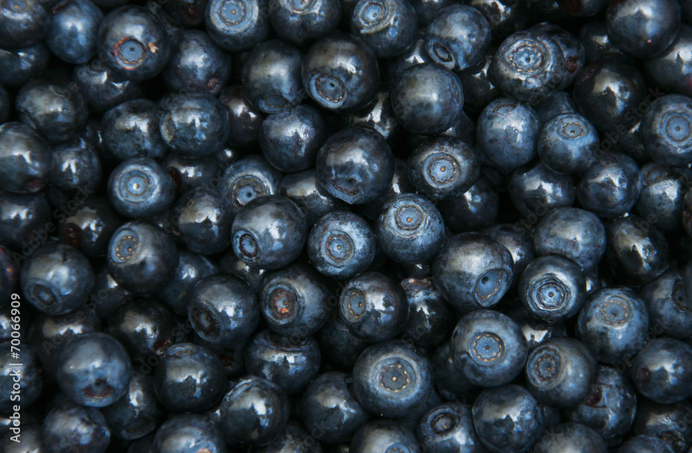Blueberries Blueberries