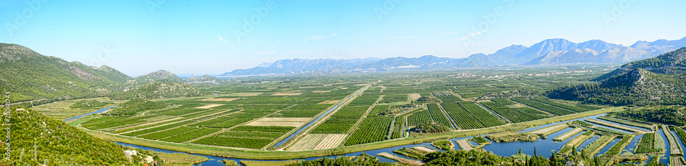 view of crop fields
