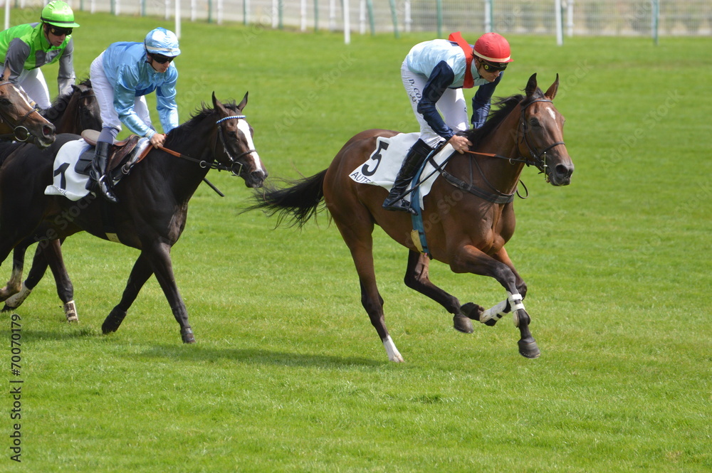 cheval de course cheval de course