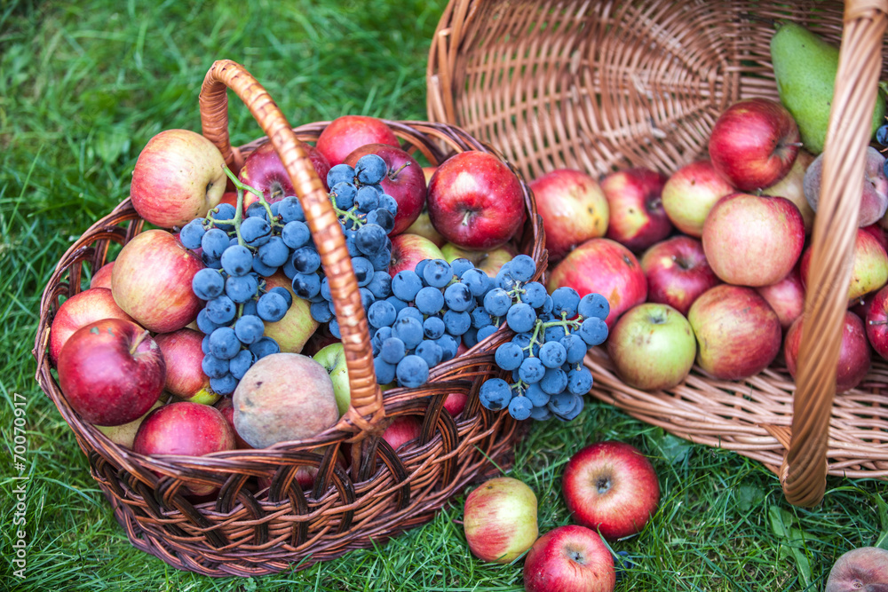 Basket with fruit on a green grass Basket with fruit on a green grass