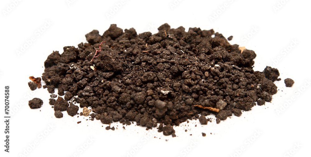 Handful of soil Handful of soil