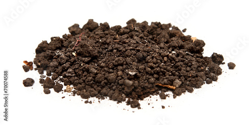 Handful of soil