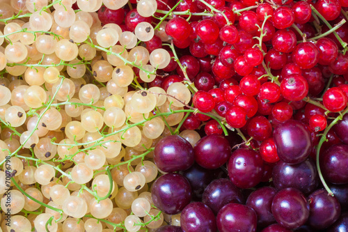 Berries
