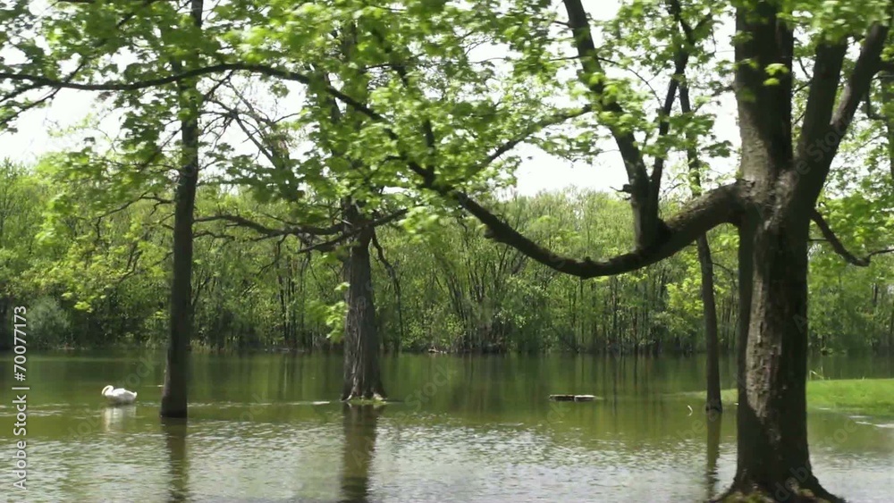 Flooded Rivers, Streams, Creeks, Water, Nature Flooded Rivers, Streams, Creeks, Water, Nature