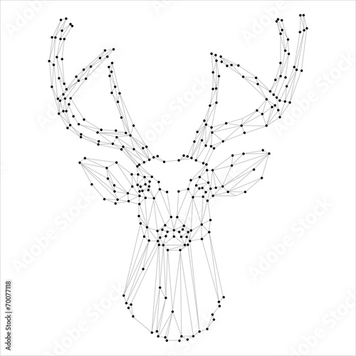 Deer head on white background