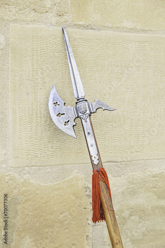 Obraz na plátně Old medieval spear