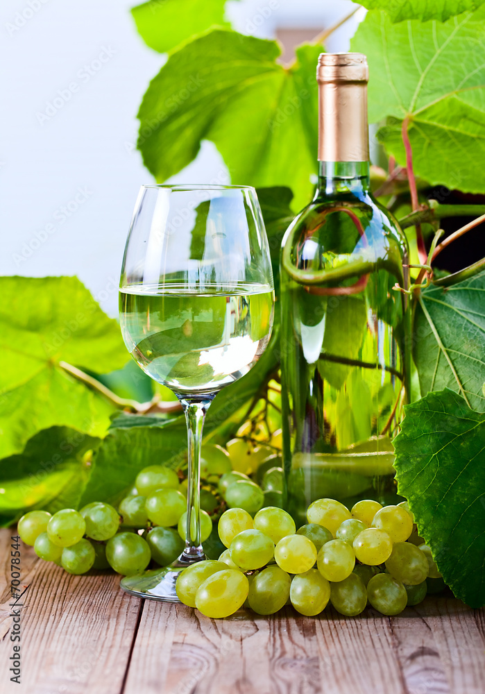 green grape and white wine in vineyard