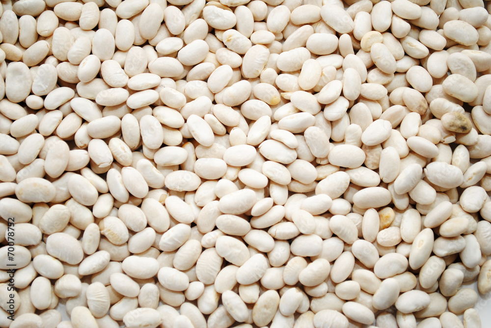 Background of Great Northern White Beans